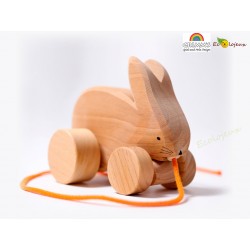 Jouet éducatif pour 2 ans En bois Arithmétique Clip Lapin Précoce