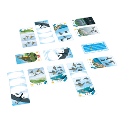 migrato jeu opla jeu éducatif oiseaux migrateurs jeu français ecoresponsable jeu cartes 9 ans ados adultes