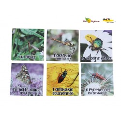 Mémo Nature Petites Bêtes Insectes Jeu de carte pédagogique Jeux FK Fabrication française Découverte nature