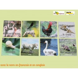 Jeu pédagogique nature Mémo nature des Animaux Jeu de carte éco-conçu fabrication française  JeuxFK