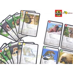 Jeu de cartes survie  Nature & Découvertes