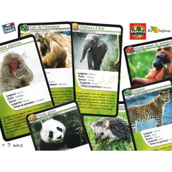 Bioviva Défis NATURE Jeu  Cartes Défis Nature ASIE