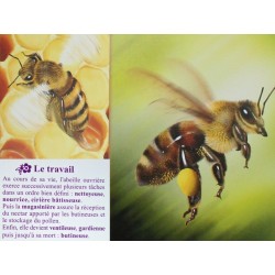 Editions Bétula Made in France Jeu abeilles Jeu société français jeu cartes : 7 Familles le mondes des abeilles